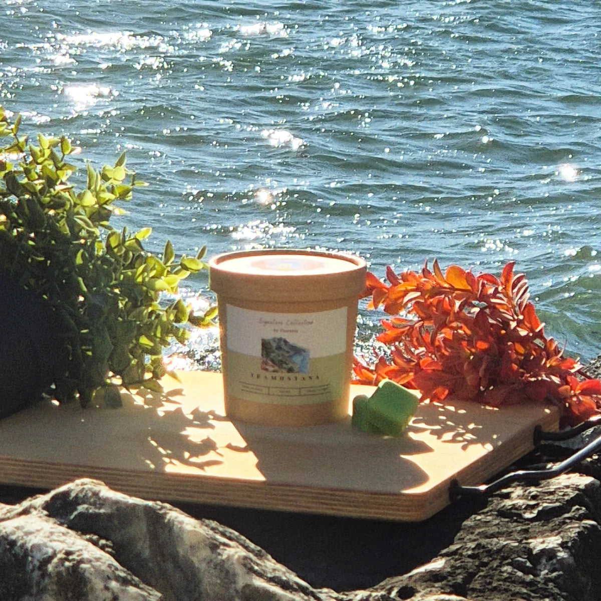Wax Melts de Tramuntana