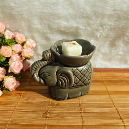 quemador shanti de vesentia